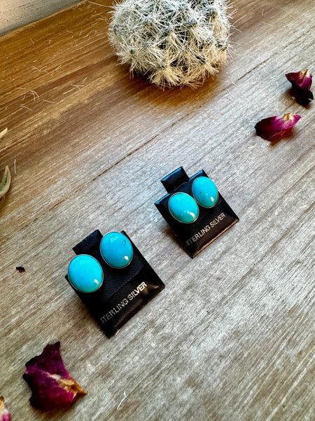 Perfect Blue Turquoise Oval Stud Earrings