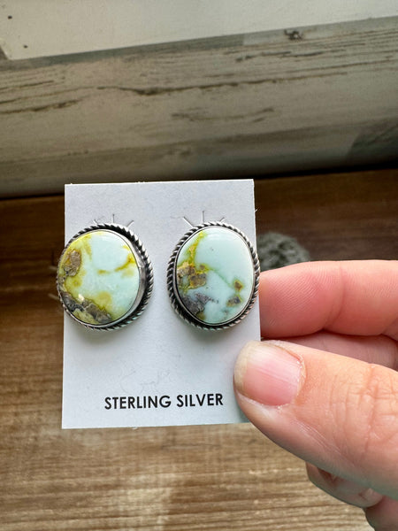 Palomino Turquoise Stud Earrings