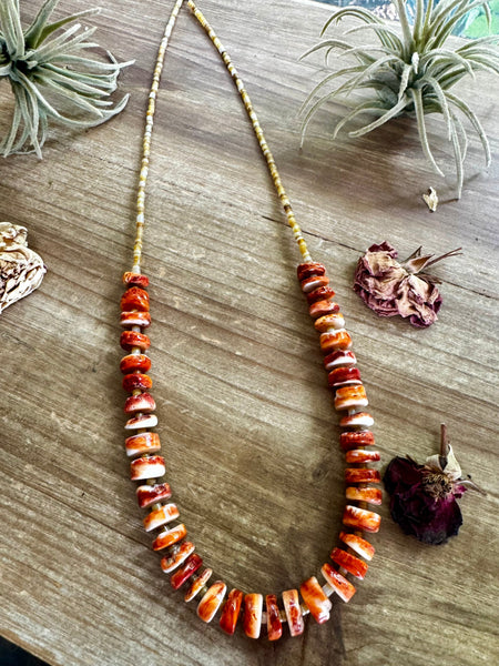 Orange Spiny Oyster and Shell Necklace-26"