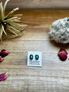 Turquoise Oval Stud Earrings