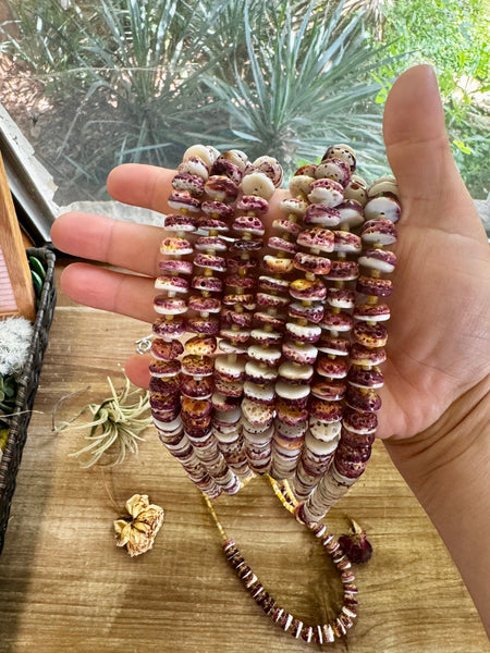 Purple Spiny Oyster and Heishi Shell Necklace-26"