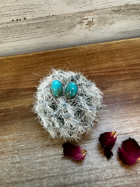 Turquoise Oval Stud Earrings